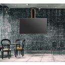 TV Decken Wand Lift elektrisch für Monitore bis 75", PREMIUM-K2DOWN
